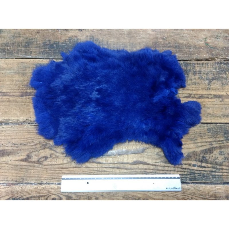 Lapin bleu electrique Lapin bleu electrique