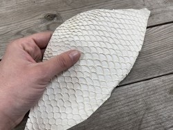 Petite peau de cuir de poisson tilapia blanc mat Cuirenstock