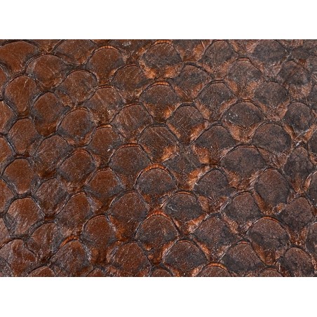 Détail cuir de poisson tilapia écailles naturelles marron satiné Cuir en Stock