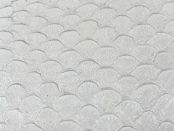 Détail écailles cuir de poisson tilapia blanc satiné Cuir en Stock