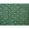 Détail écailles cuir de poisson tilapia vert brillant cuir en stock