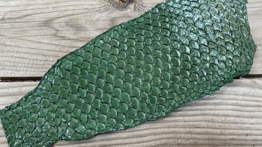 Peau de cuir de poisson tilapia vert glossy maroquinerie accessoire bijoux Cuir en stock