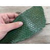 Peau de cuir de poisson tilapia vert glossy maroquinerie accessoire bijoux Cuir en Stock