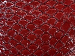 Détail écailles de cuir de poisson tilapia rouge glossy brillant cuir en stock