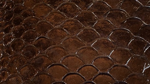 Ecailles cuir de poisson tilapia brun foncé glossy cuir en stock