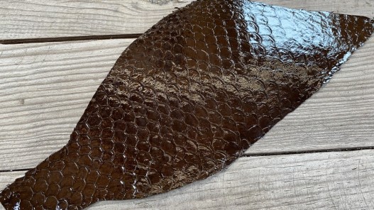 Peau de cuir de poisson tilapia brun foncé glossy cuirenstock