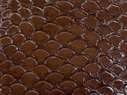 Écailles cuir de poisson tilapia marron glossy Cuir en stock