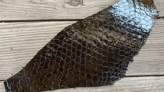 Peau de cuir de poisson tilapia noir glossy maroquinerie bijoux accessoire cuirenstock