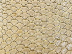 Détail écailles cuir de poisson tilapia beige glossy doré bijoux accessoire maroquinerie Cuir en Stock