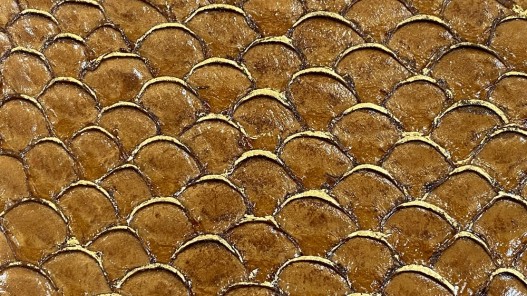 Détail écailles cuir de poisson tilapia gold fauve camel métallisé doré glossy Cuir en Stock