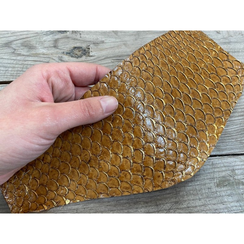 Peau de cuir de poisson tilapia