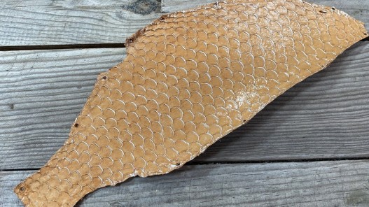 Peau de cuir de poisson tilapia fauve glossy métallisé argent maroquinerie bijoux accessoire cuir en stock