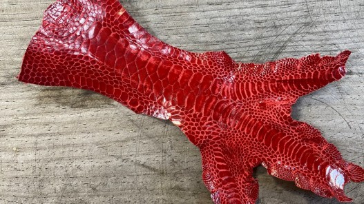 Peau de patte de coq rouge vif bijoux accessoire customisation basket cuir en stock