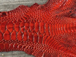 Détail grain de peau cuir patte de coq poulet orange cuirenstock