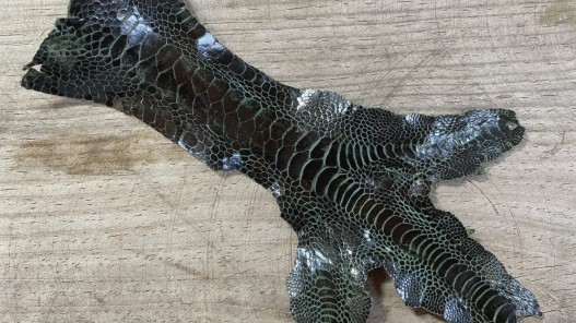 Peau cuir patte de coq poulet vert forêt bijoux accessoire bracelet montre qualité Cuir en stock