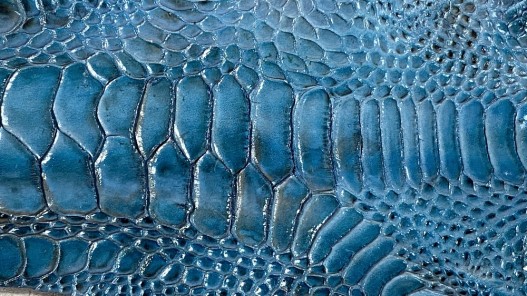 Détail grain de peau patte de coq poulet bleu turquoise luxe exotique cuir en stock