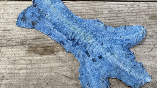 Envers peau cuir patte de coq bleu turquoise cuirenstock