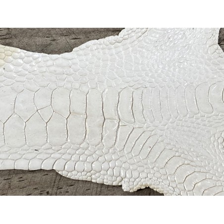 Détail grain peau patte de coq poulet blanc luxe exotique cuir en stock