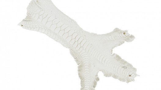 Peau cuir patte de coq blanc exotique luxe bijoux accessoire bracelet montre qualité Cuir en Stock