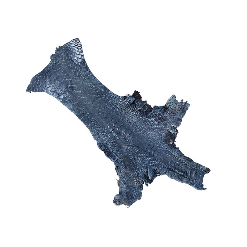 Peau cuir patte de coq poulet nacré bleu marine luxe exotique Cuir en Stock Peau cuir patte de coq poulet nacré bleu marine luxe exotique Cuir en Stock