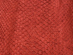 Détail écailles peau cuir poisson saumon rouge vif exotique bijoux accessoire Cuir en Stock