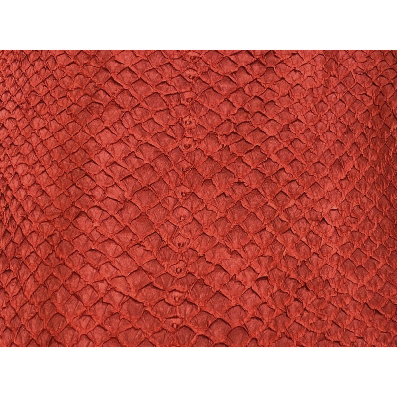 Détail écailles peau cuir poisson saumon rouge vif exotique bijoux accessoire Cuir en Stock Détail écailles peau cuir poisson saumon rouge vif exotique bijoux accessoire Cuir en Stock