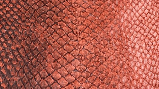 Détail écailles cuir peau poisson saumon naturel orange Cuir en Stock