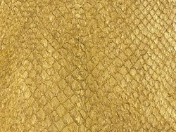 Détail écailles peau cuir poisson saumon jaune doré métallisé nacré Cuir en Stock
