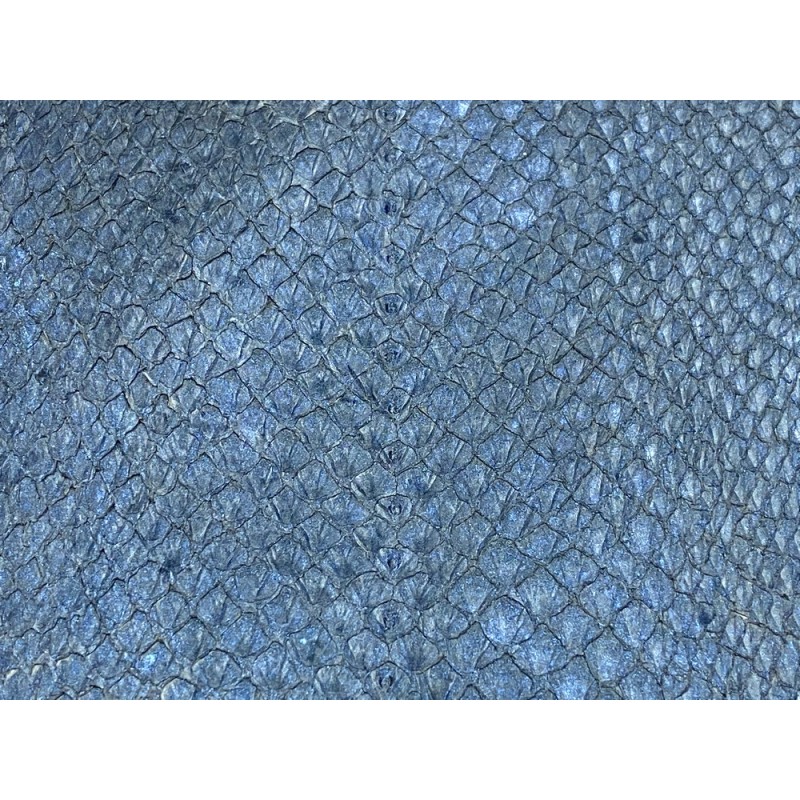 Détail écailles peau cuir poisson saumon bleu nacré bijoux maroquinerie exotique Cuir en Stock