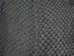 Détail écailles peau cuir poisson saumon noir mat Cuir en Stock