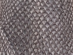 Détail écailles peau cuir poisson saumon brun mat Cuir en Stock