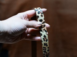 Bande lanière de cuir double croupon - motif Léopard - Cuir en Stock