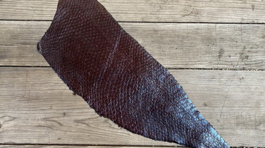 Peau entière - cuir de poisson - Perche du Nil - Marron rouge - exotique - luxe - bijoux - accessoire - cuir en stock