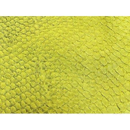 Détail écailles cuir de poisson - Perche du Nil - Jaune - Cuir en Stock