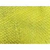 Détail écailles cuir de poisson - Perche du Nil - Jaune - Cuir en Stock