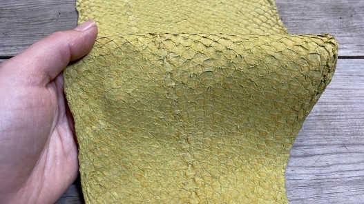 Peau de cuir de poisson Perche du Nil jaune canari - maroquinerie bijoux accessoire - Cuir en stock
