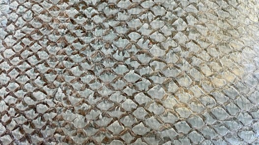 Détail écailles cuir de poisson - Perche du Nil - vert d'eau - maroquinerie bijoux - Cuir en Stock