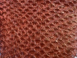 Détail écailles - peau de cuir de poisson - Perche du Nil - Terracotta - Cuir en Stock