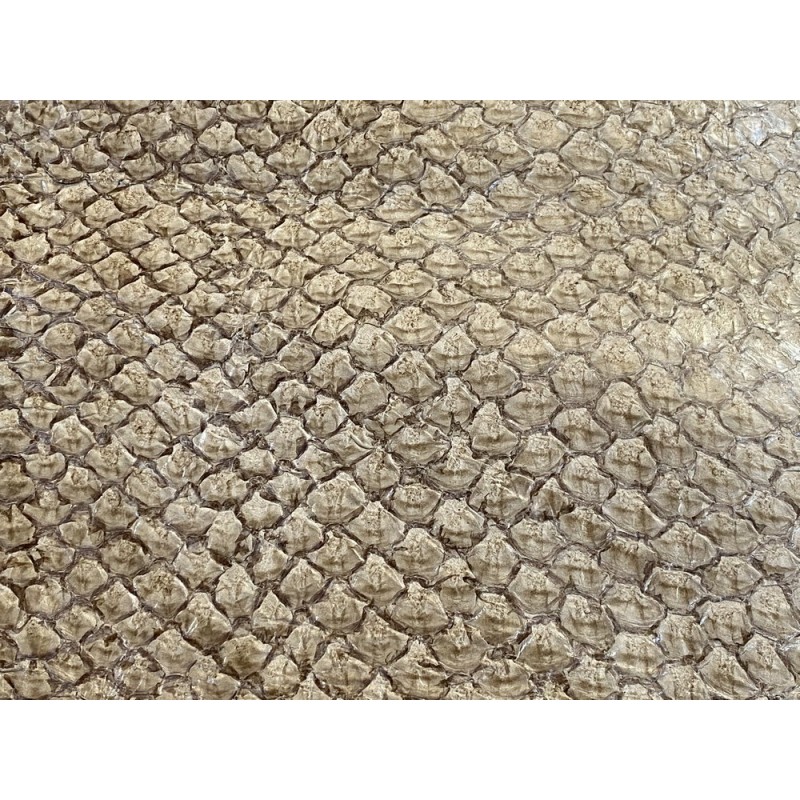 Détail écailles - peau cuir de poisson - Perche du Nil - Beige - maroquinerie bijoux - luxe exotique - Cuir en stock