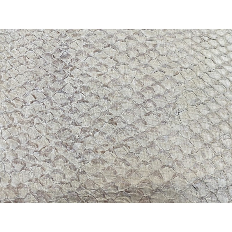 Détail écailles - cuir de poisson - Perche du Nil - Crème mat - Cuir en Stock
