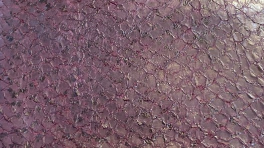 Détail écailles - peau cuir poisson - Perche du Nil - aubergine - exotique - bijou - maroquinerie - Cuir en Stock