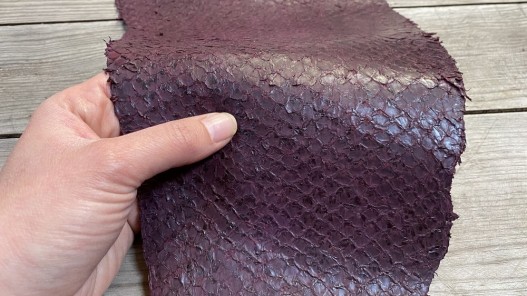 Peau de cuir de poisson - Perche du Nil - aubergine - luxe exotique - bijoux maroquinerie - Cuir en stock
