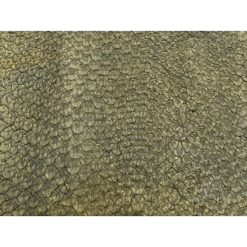 Détail écailles - cuir peau poisson - Perche du Nil - vert kaki mat - Cuir en Stock