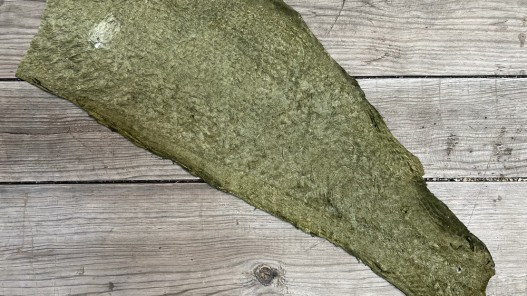 Envers peau cuir de poisson - Perche du Nil - Vert kaki mat - luxe - exotique - bijou - maroquinerie - cuirenstock