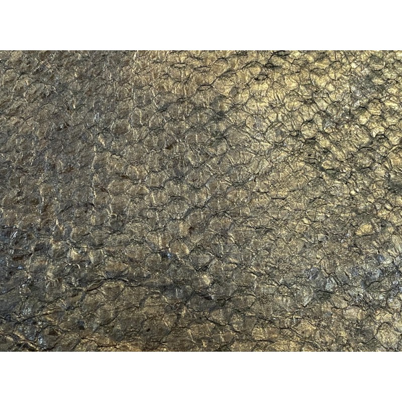 Détail écailles - cuir de poisson - Perche du Nil - Bronze antique - métallisé - Cuir en Stock
