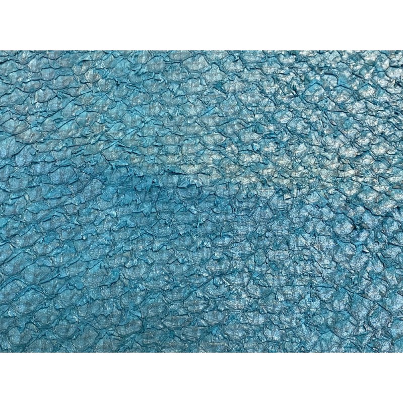 Détail écailles - cuir de poisson - Perche du Nil - Bleu paon - Cuir en Stock Détail écailles - cuir de poisson - Perche du Nil - Bleu paon - Cuir en Stock