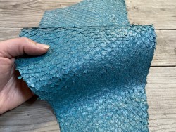 Peau de cuir de poisson - Perche du Nil - Bleu paon - exotique - bijou - maroquinerie - Cuir en stock