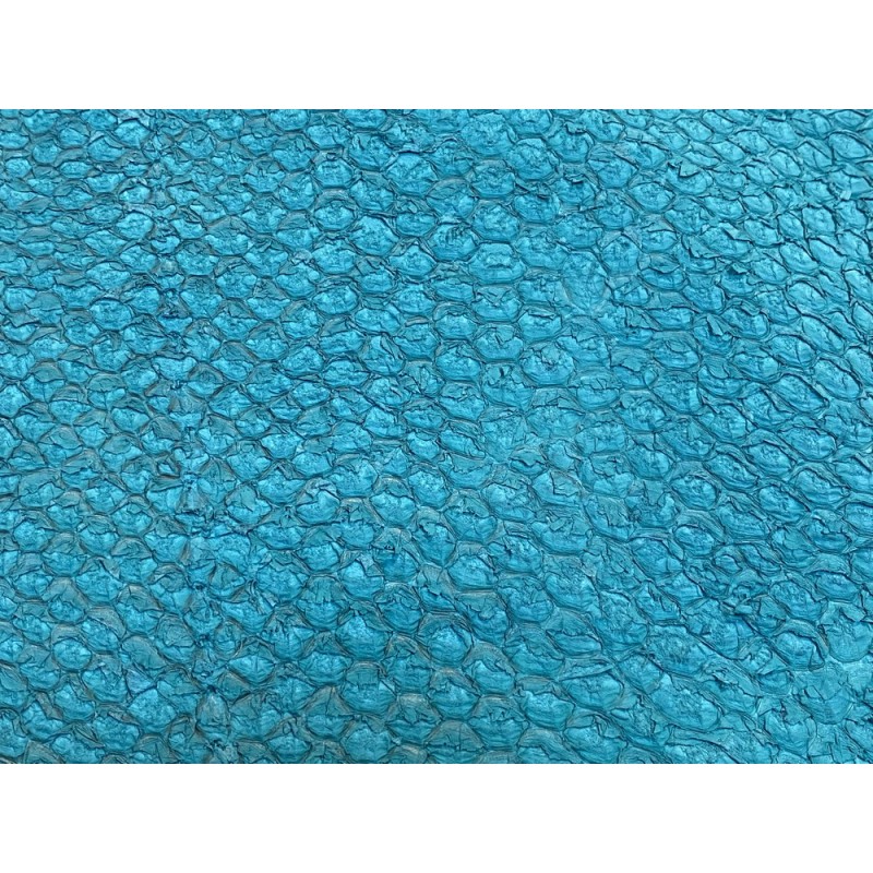 Détail écailles - peau cuir de poisson - Perche du Nil - Bleu turquoise - Cuir en Stock Détail écailles - peau cuir de poisson - Perche du Nil - Bleu turquoise - Cuir en Stock