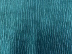 Détail grain de peau de cuir de requin poisson vert émeraude - Cuir en Stock