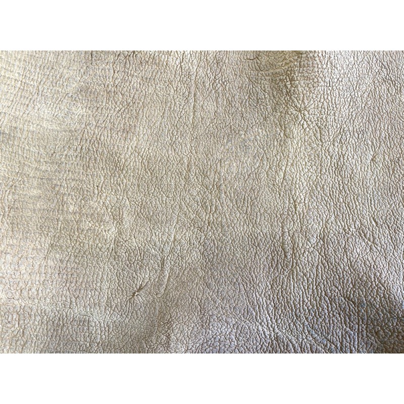 Détail grain de peau de cuir de poisson requin nubuck beige Cuir en Stock Détail grain de peau de cuir de poisson requin nubuck beige Cuir en Stock
